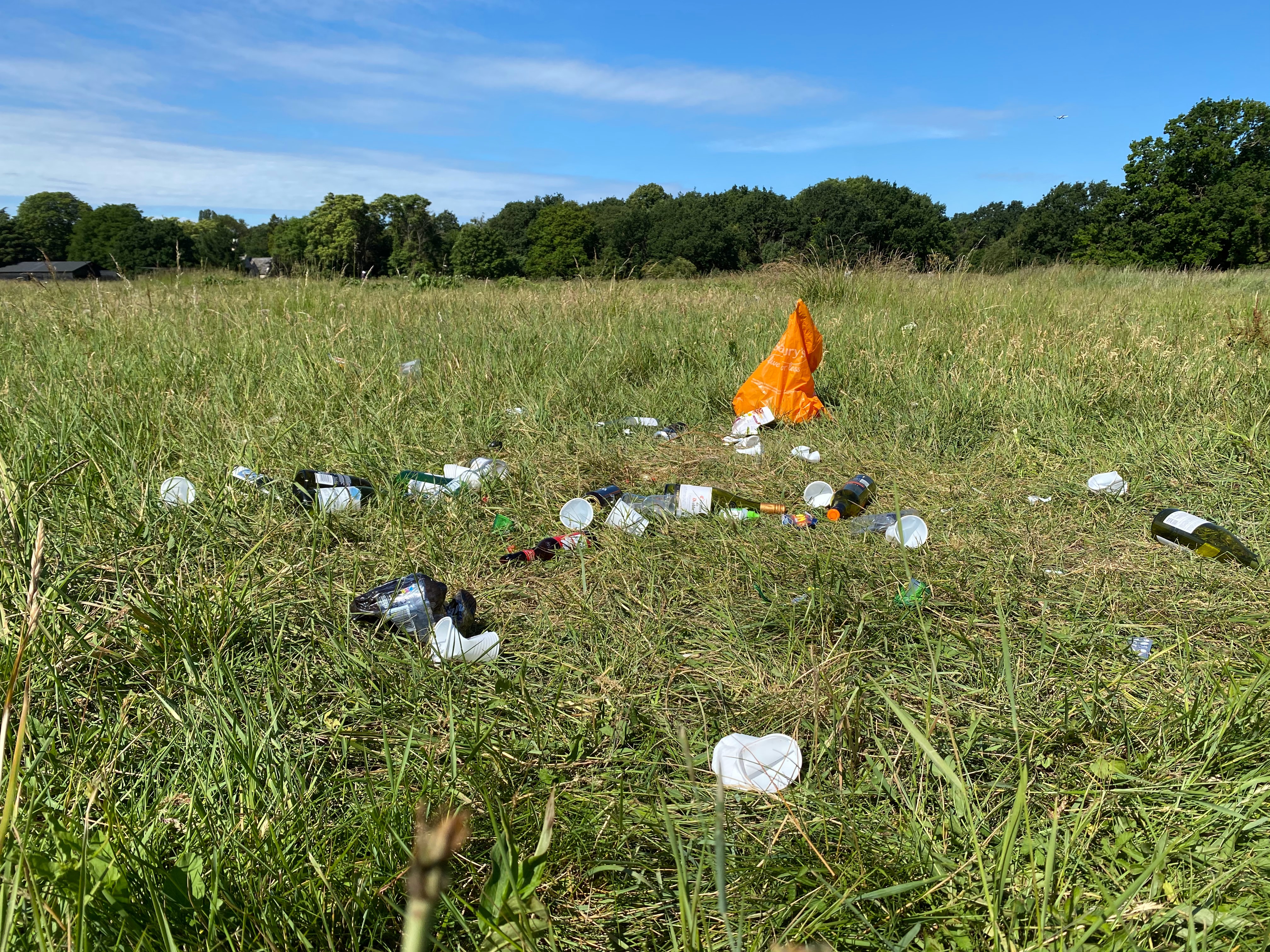 Photo of litter on a field by John Cameron on Unsplash